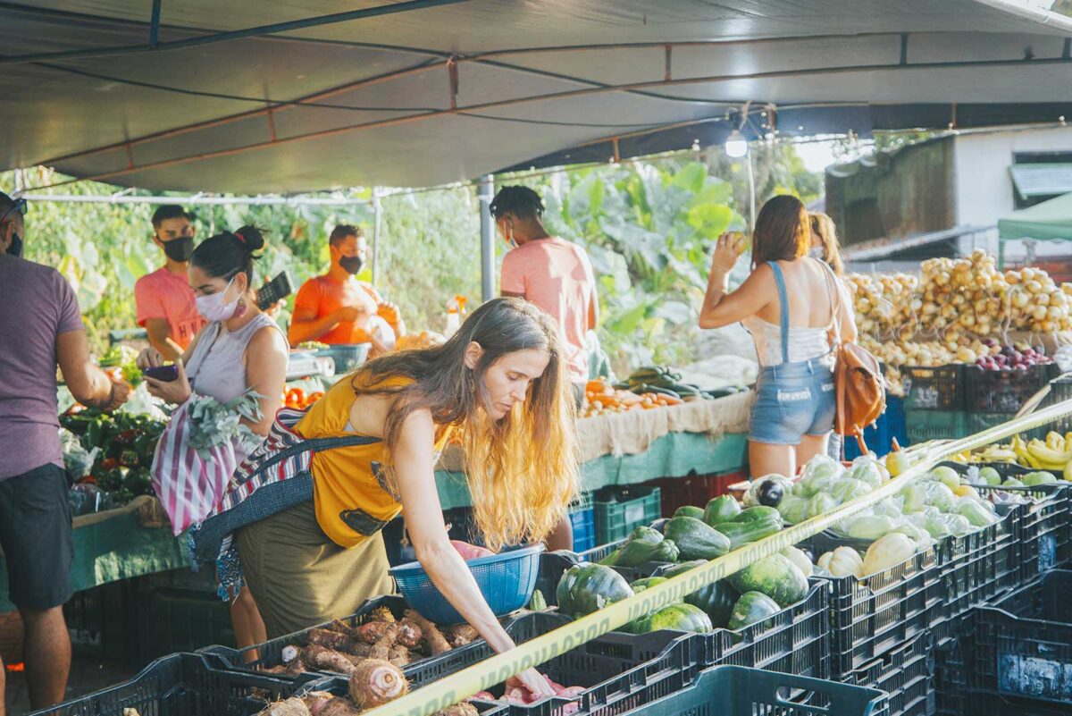 Quepos Cultural And Social City Tour